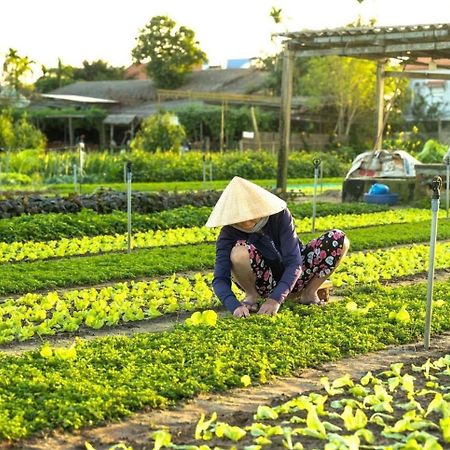 Appartamento Hoi An Cabbage Garden Esterno foto