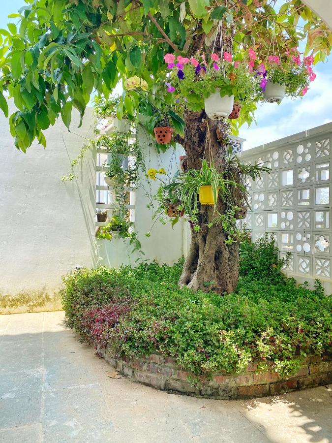 Appartamento Hoi An Cabbage Garden Esterno foto